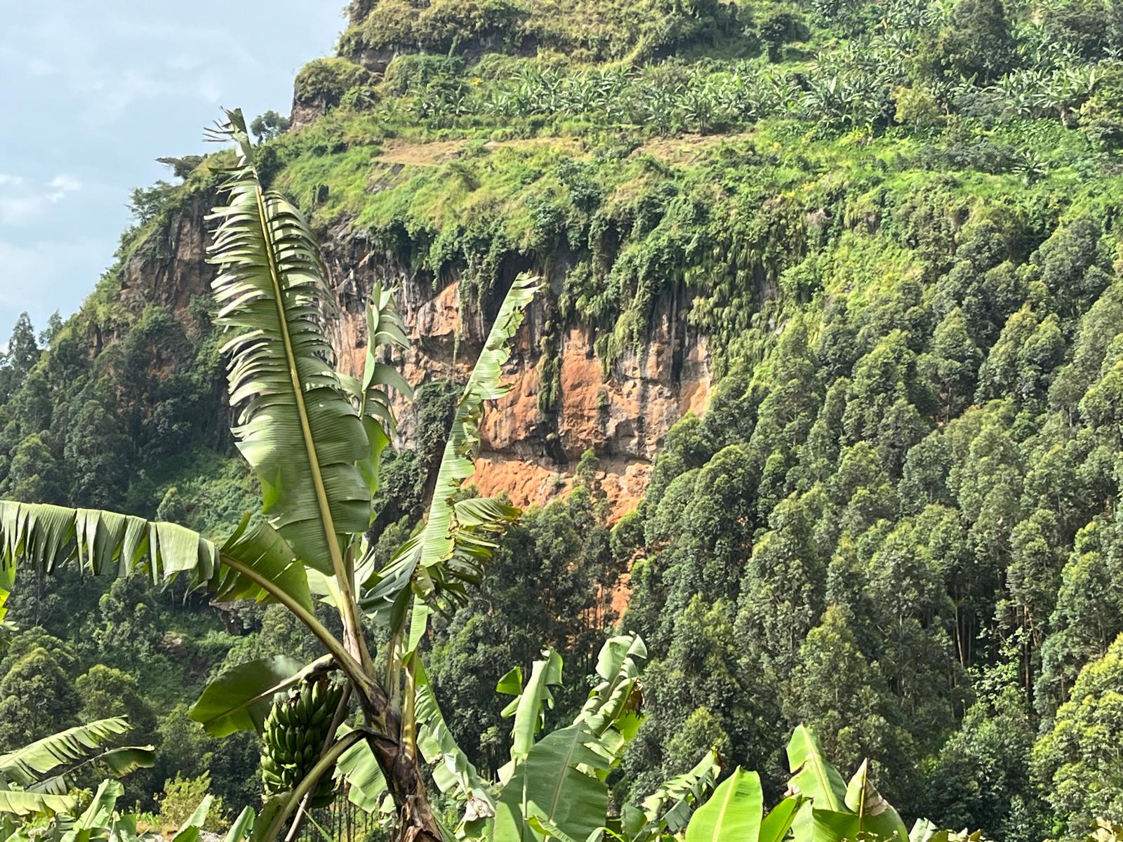Sipi Falls surrounded by green hills in eastern Uganda